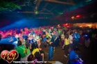 ohana_tigger_00202