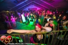 mardigras_tigger_00326